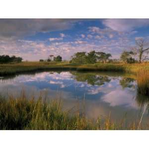  Reflection of Clouds on Tidal Pond in Morning Light, Savannah 