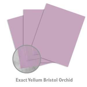  Exact Vellum Bristol Orchid Paper   250/Package Office 