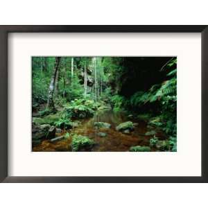   Walk Blue Mountains NP, Australia Collections Framed Photographic