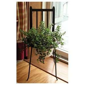  Decorative Chair Plant Stand